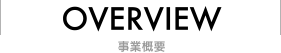 OVERVIEW ƊTv